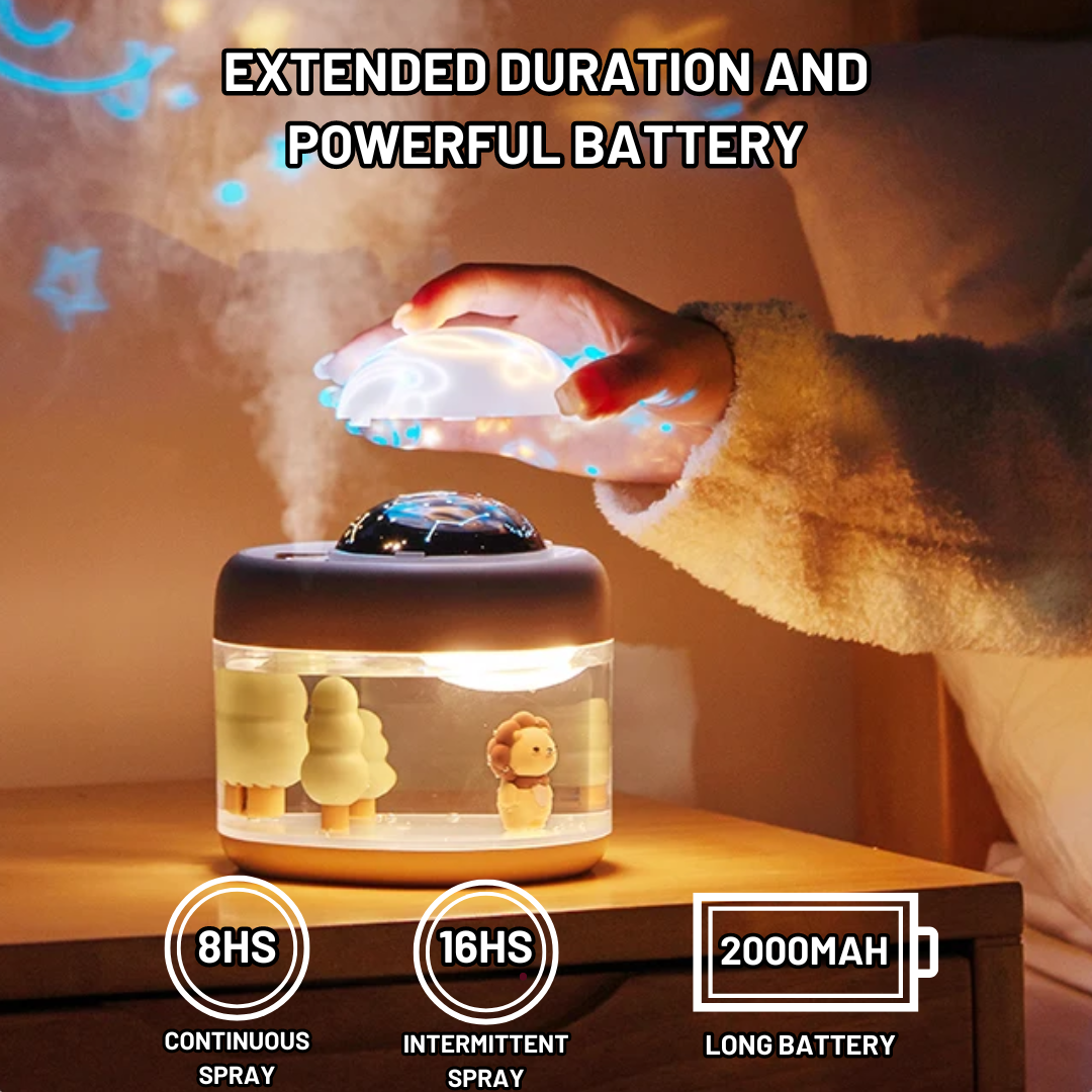 Projector & Humidifier