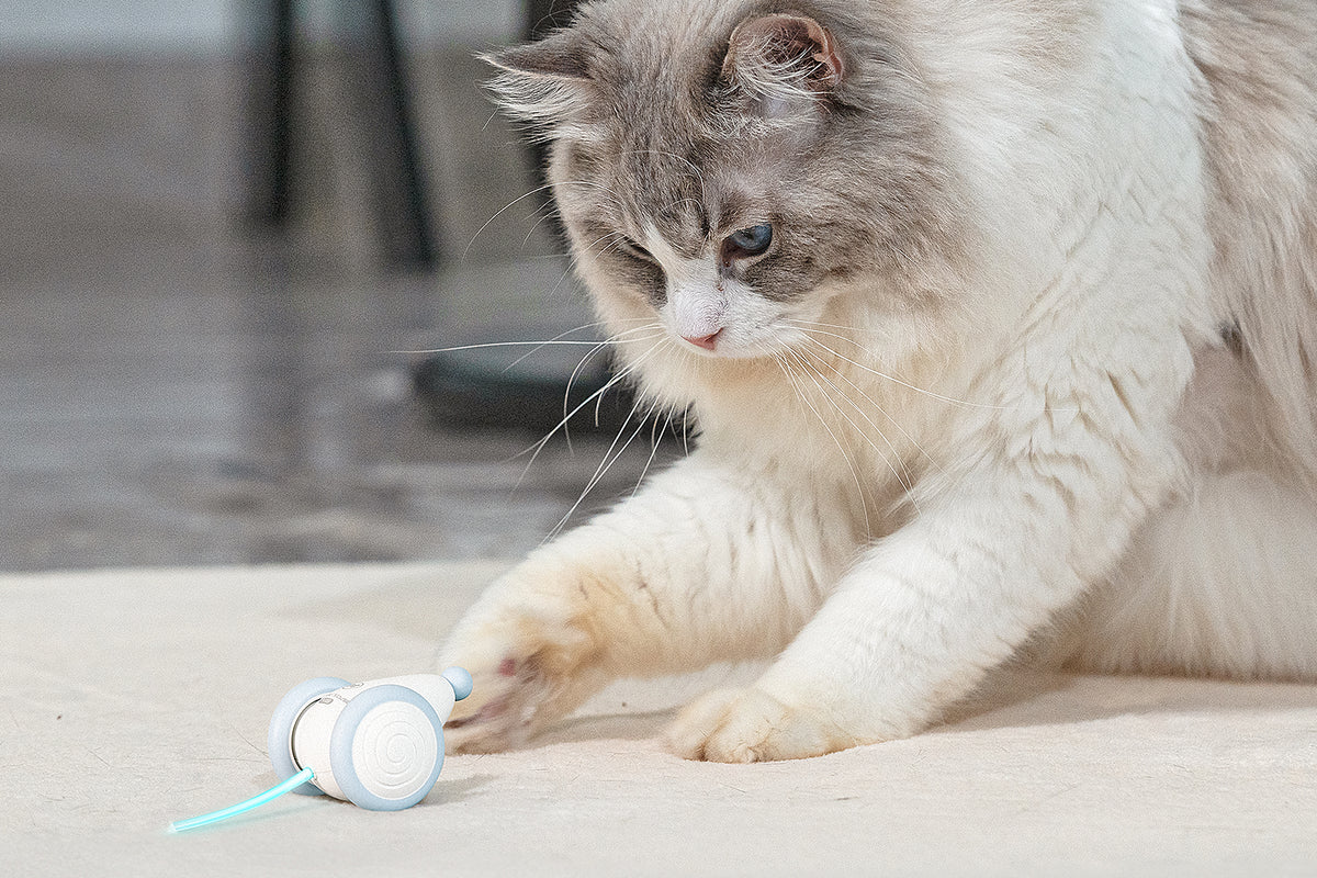 FUREVER PET™ Auto-Mouse AI Cat Toy